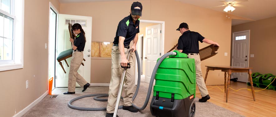 Center Line, MI cleaning services